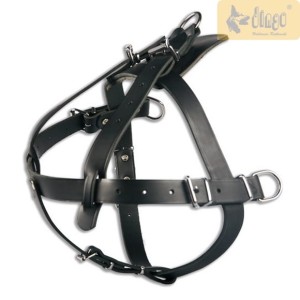 Leather harness for tracking and pulling