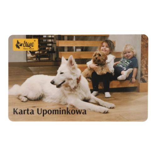 MicrosoftTeams-image (5).png