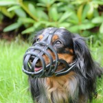 RIVETED MUZZLE FOR DOG