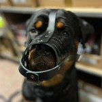 FULL MUZZLE FOR DOG