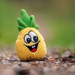 Zabawka pluszowa dla psa - ANANAS