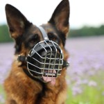 METAL MUZZLE