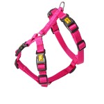 Harness Guard Energy quadruple buckles