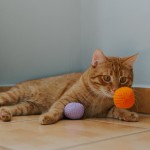 Zabawka dla kota PIŁKI KOCIOSPLOTKI - zestaw 2 szt. 