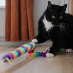 Wędka dla kota WORM