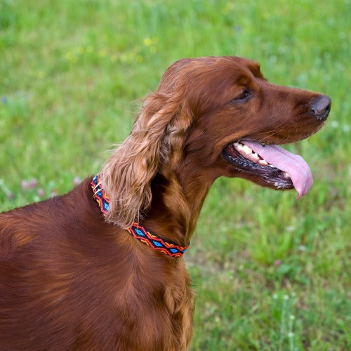 Kolekcja Winnetou