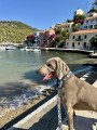 Smycz przepinana CITY GREECE