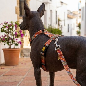 Szelki Guard CITY SPAIN