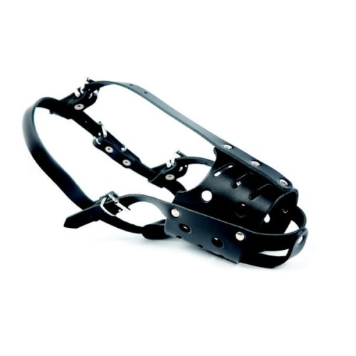 WhatsApp Image 2023-04-13 at 10.52.53 (1).jpeg