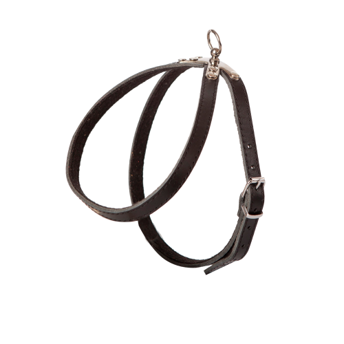 Czarne szelki ze skóry dla małego psa "ósemki" z metalowym okuciem CLASSIC