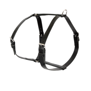 Leather harness with two belts