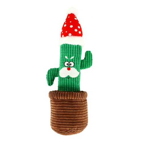 17475 Kaktus CARLOS.jpg