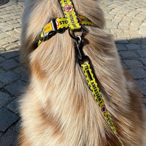 WhatsApp Image 2022-08-16 at 13.23.47 (6).jpeg