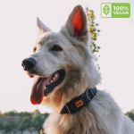 COLLAR TERRA CARBON PLASTIC BUCKLE