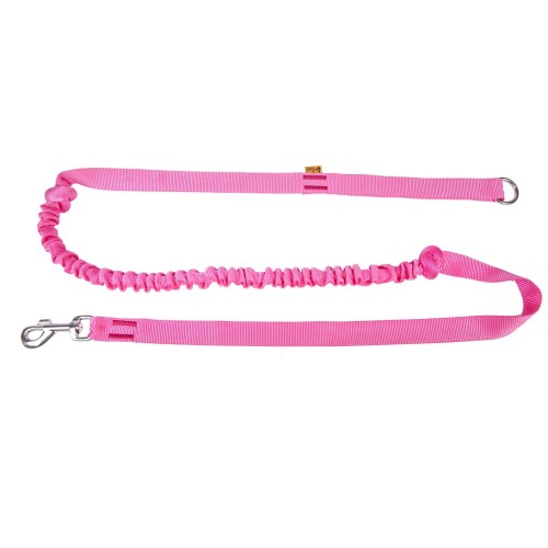 Smycz z amortyzatorem i uchwytem