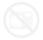 Harness for dog Active  (1)