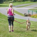 Komplet do biegania z psem pas+smycz z uchwytem