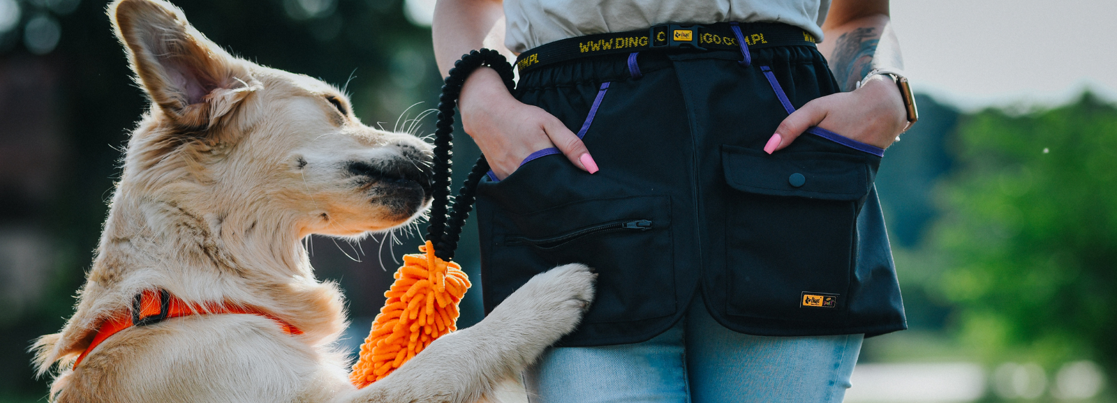 pies | szelki | gryzak | pas do