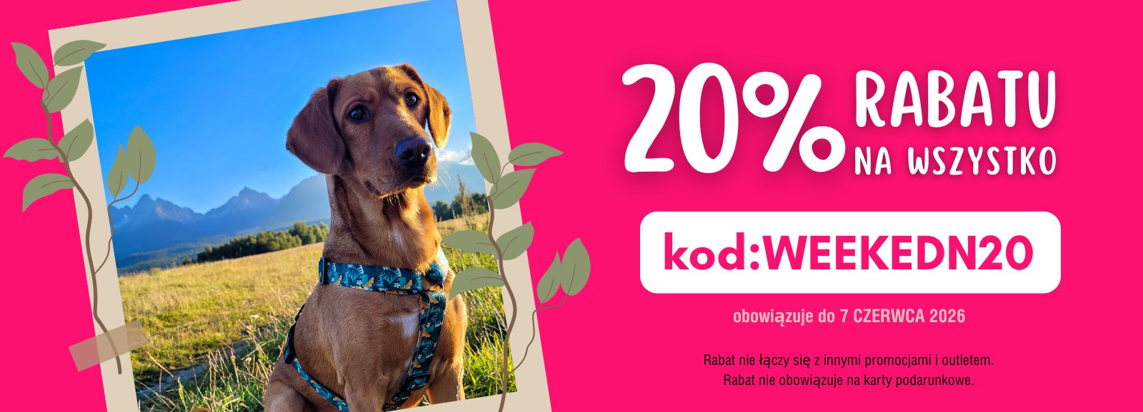 promocja 3-7.06.2026 -20%