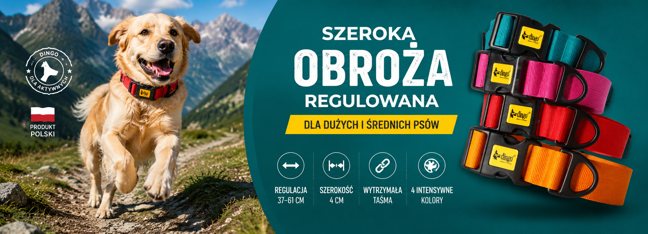 Szeroka obroża dla psa