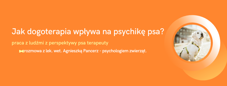 Jak dogoterapia wpływa na psychike psa? - rozmowa z lek. wet. Agnieszką Pancerz, psychologiem zwierząt.