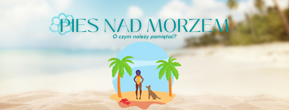 Pies nad morzem - O czym należy pamiętać?